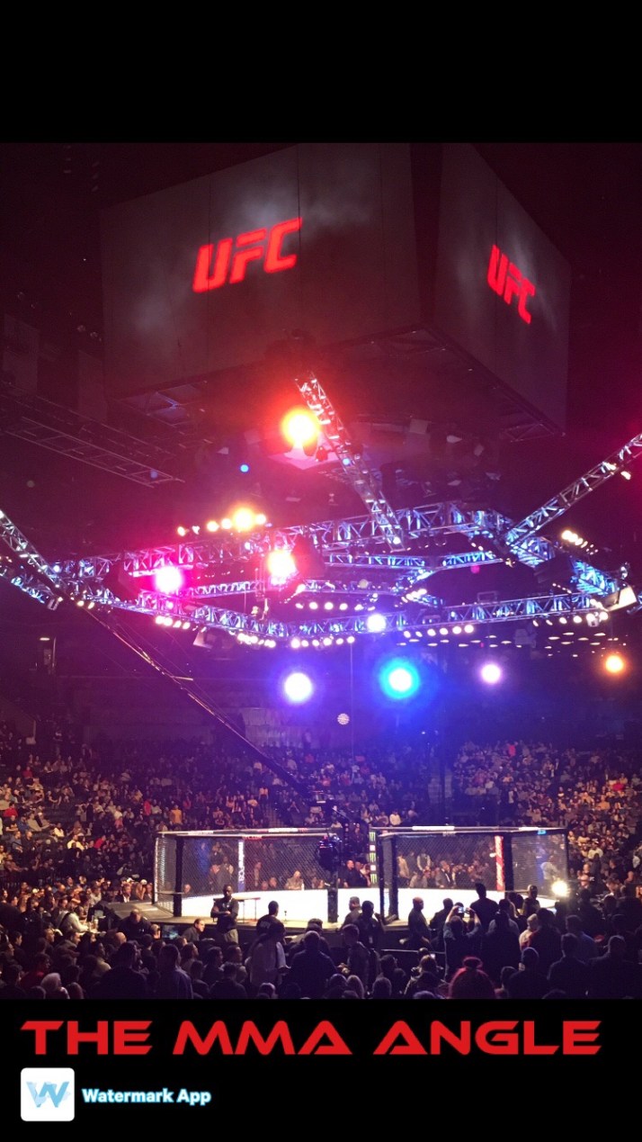 UFC 205